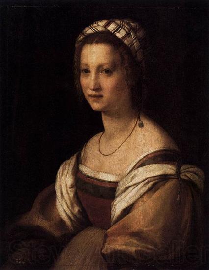 Andrea del Sarto Portrait of the Artists Wife Spain oil painting art